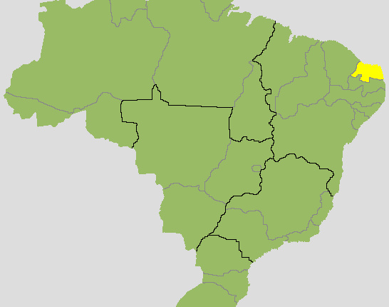 Resultado para governador no Rio Grande do Norte: veja quem está na frente no 2º turno