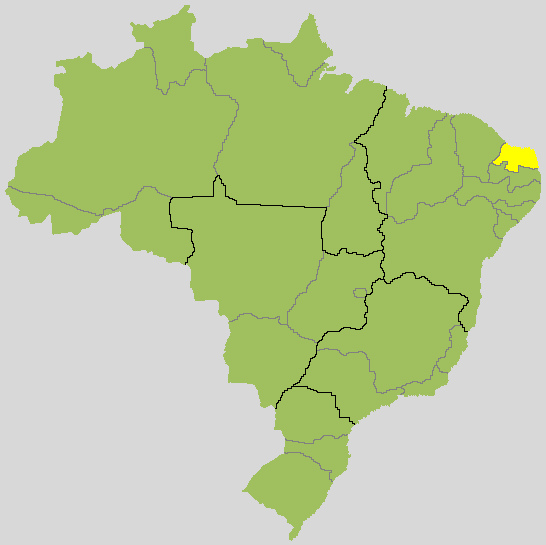 Resultado para governador no Rio Grande do Norte: veja quem está na frente no 2º turno