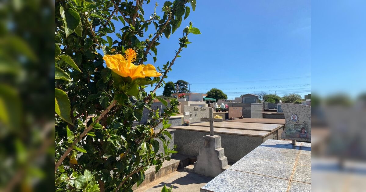 Confira os falecimentos desta quinta-feira (08) em Apucarana