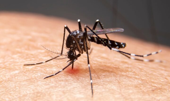Mudanças climáticas já causam aumento de doenças infecciosas no país