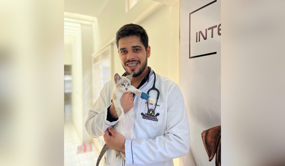 Anti-cio ou castração: veterinário explica riscos dos anticoncepcionais hormonais para cães e gatos