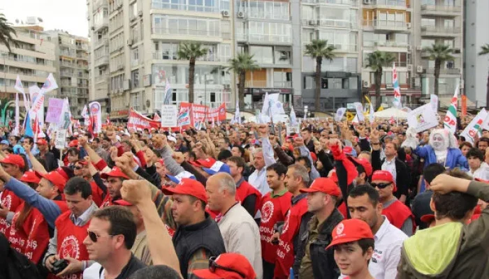 1-manifetacao