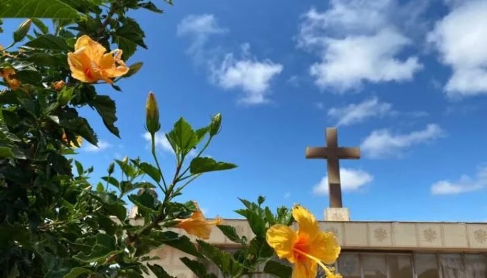 As informações são do site oficial da Aserfa - Foto: Arquivo TN