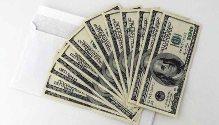 Cotista: o que é e qual o seu papel em