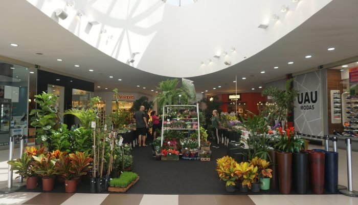 ExposicaoDeFlores2024-1